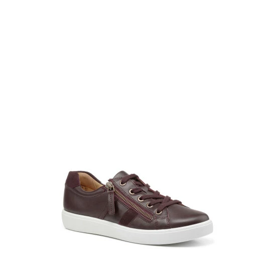 unnamed-file-959.jpg Hotter Brown Chase Wide Fit Lace-Up/Zip Shoes -Hotter Shop unnamed file 959